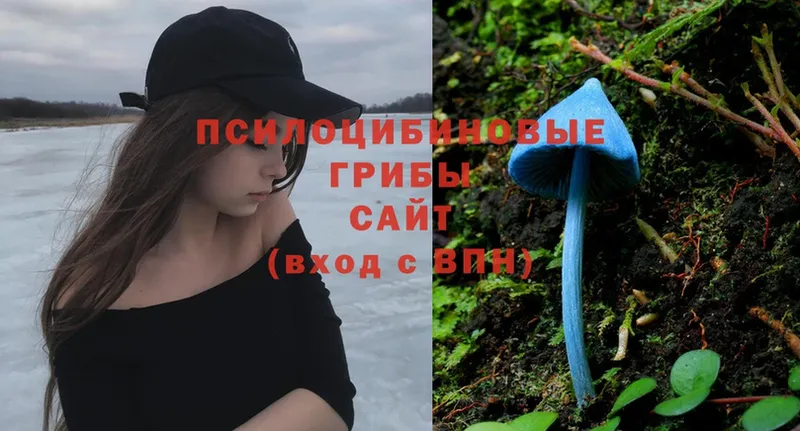 Псилоцибиновые грибы Magic Shrooms  мега как зайти  Верхняя Пышма 